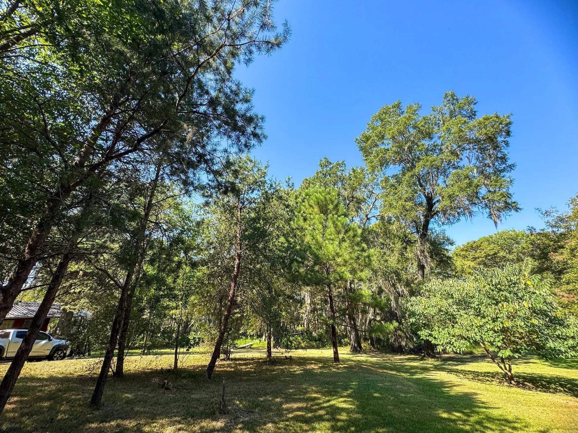 0.45 acres in Marion County - photo 7