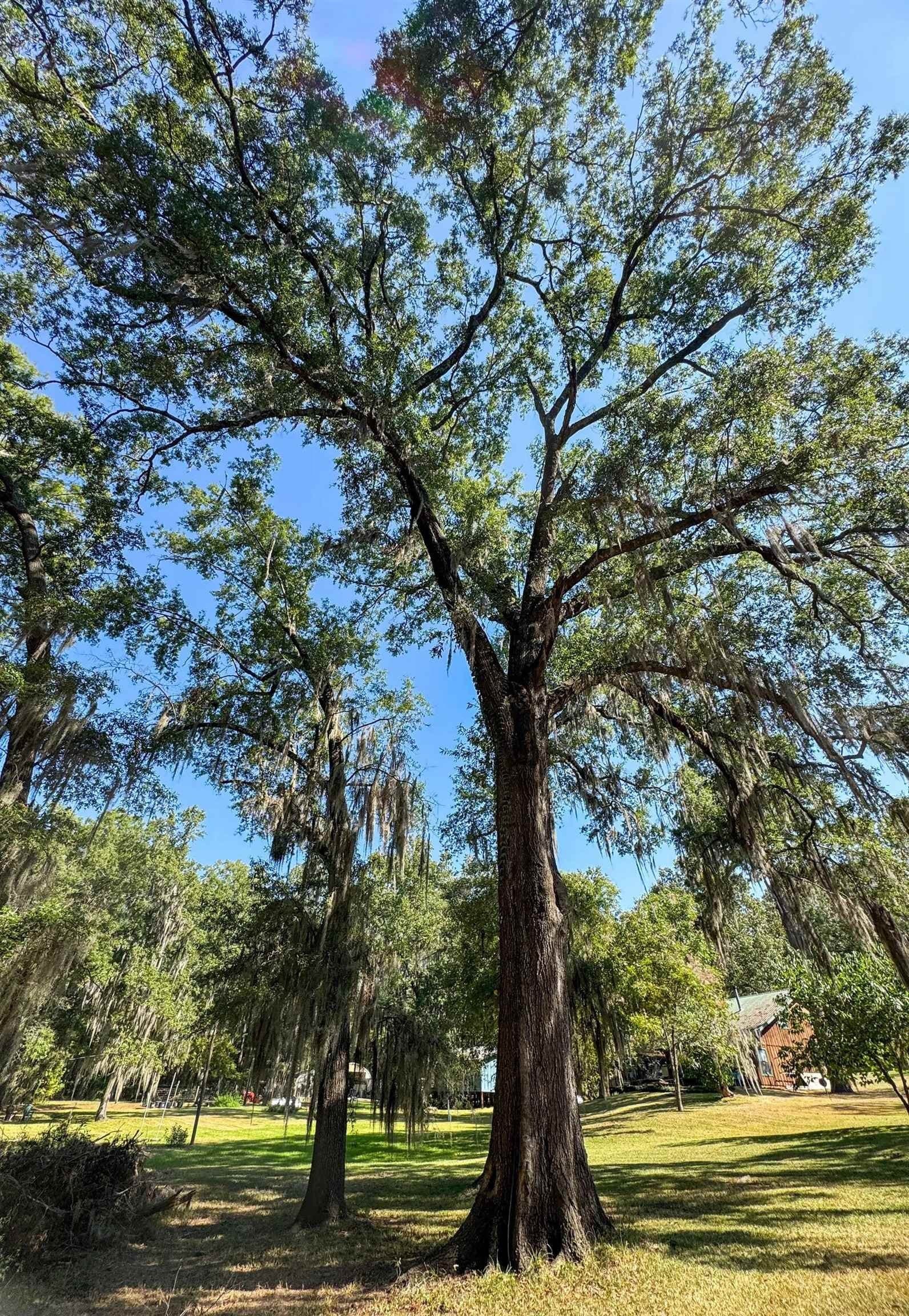 0.45 acres in Marion County - photo 13