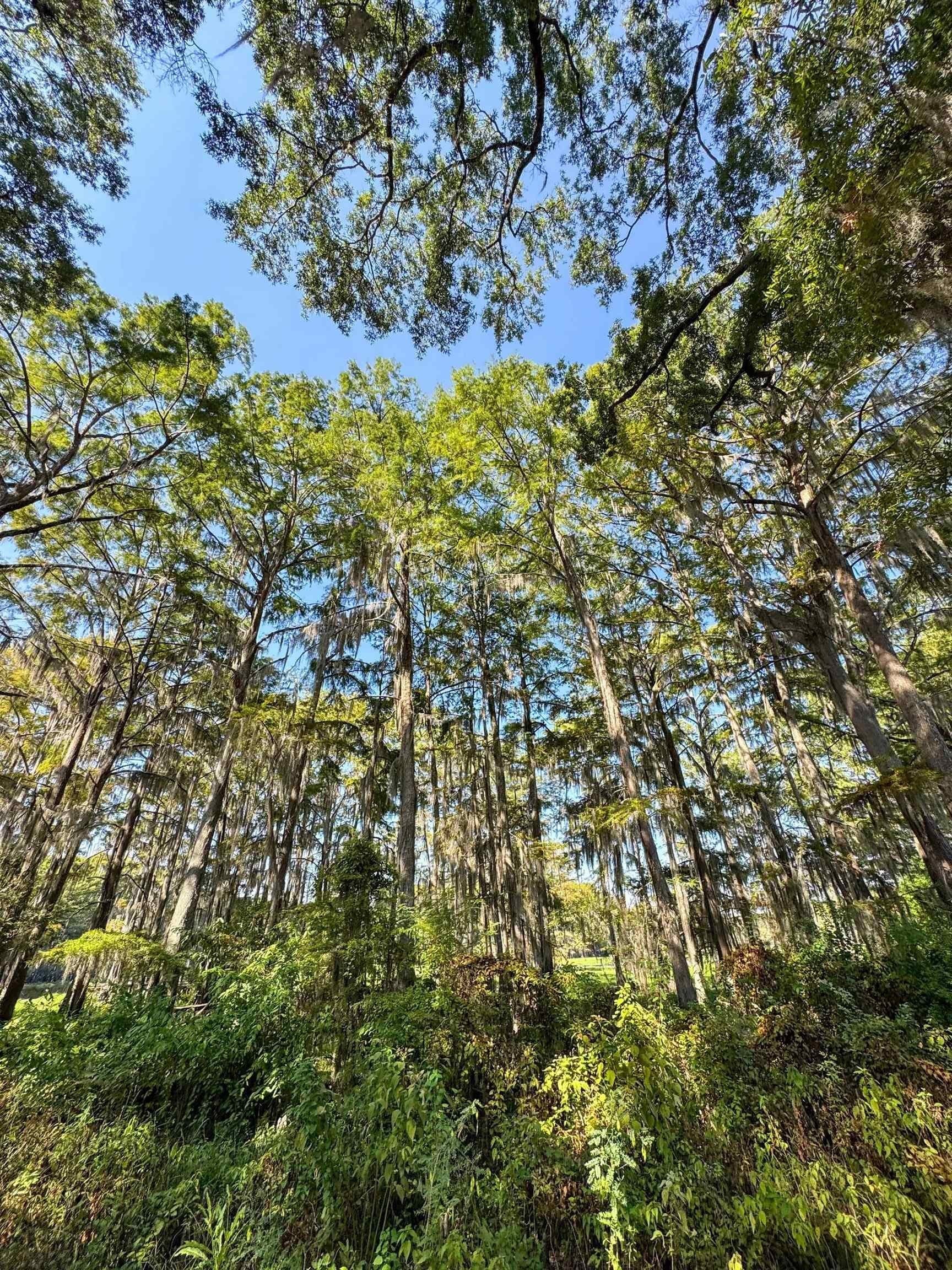 0.45 acres in Marion County - photo 10