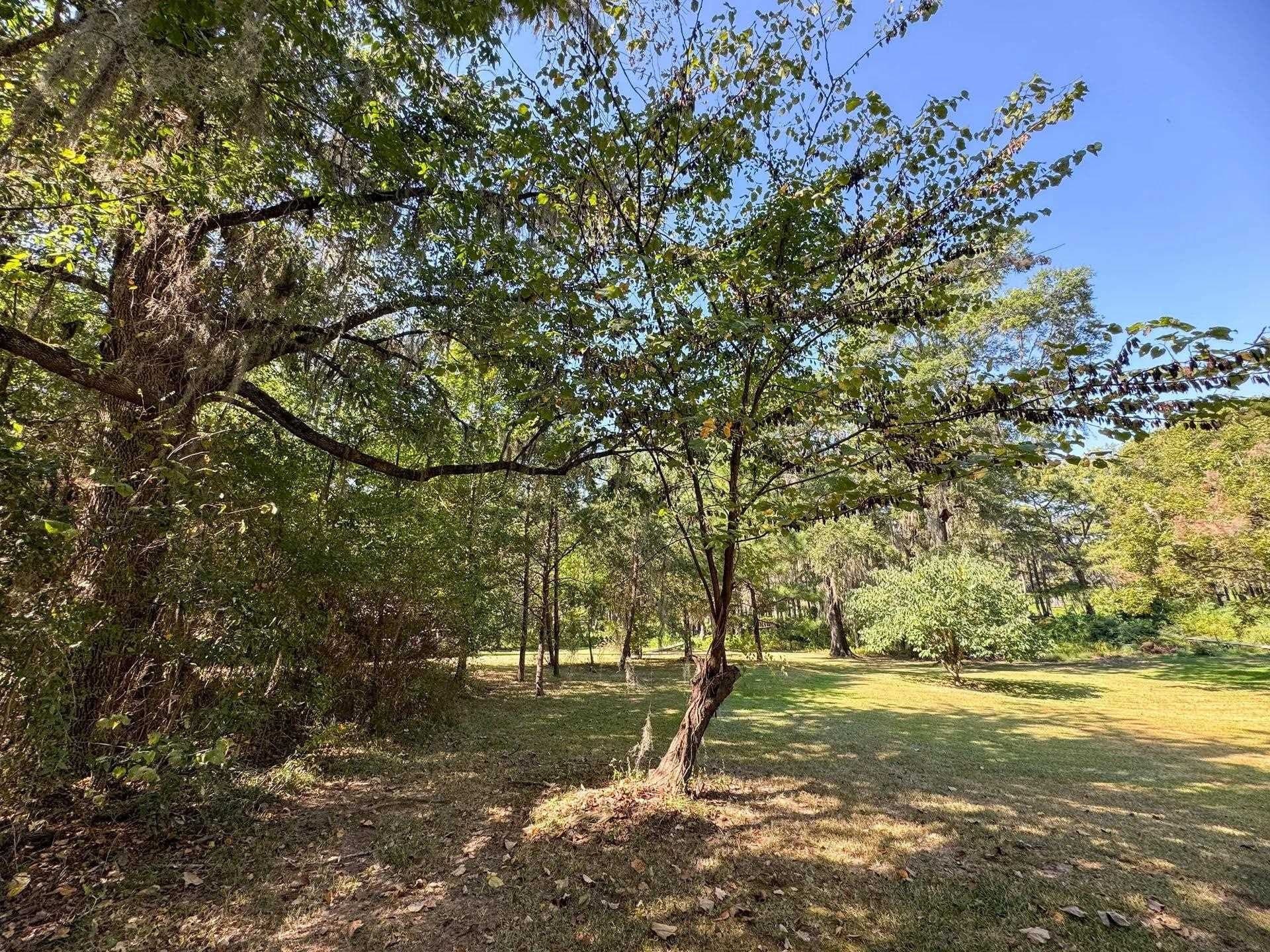 0.45 acres in Marion County - photo 5