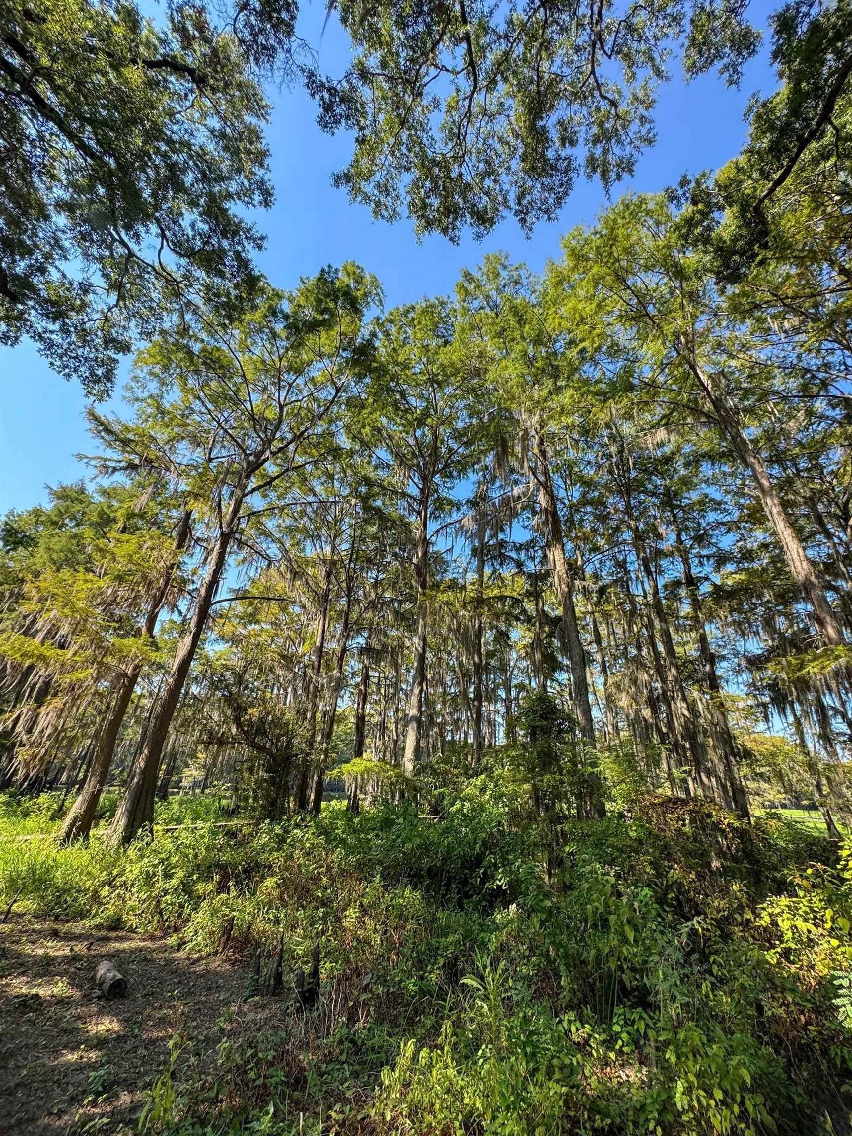 0.45 acres in Marion County - photo 11