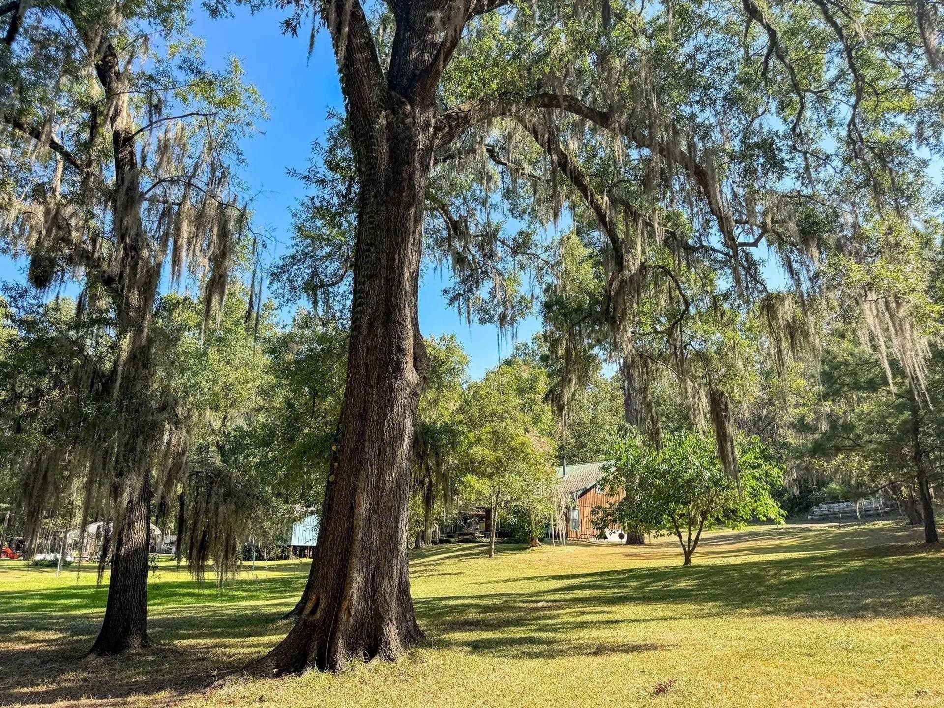 0.45 acres in Marion County - photo 19