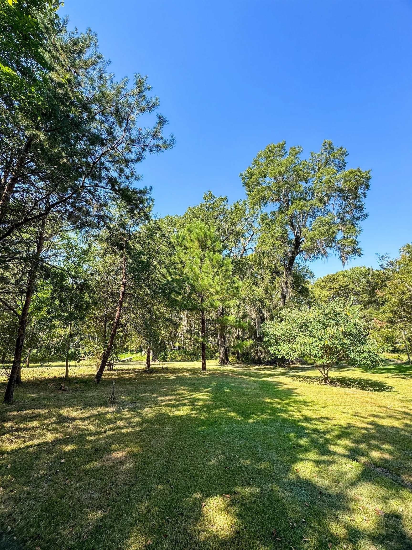 0.45 acres in Marion County - photo 6