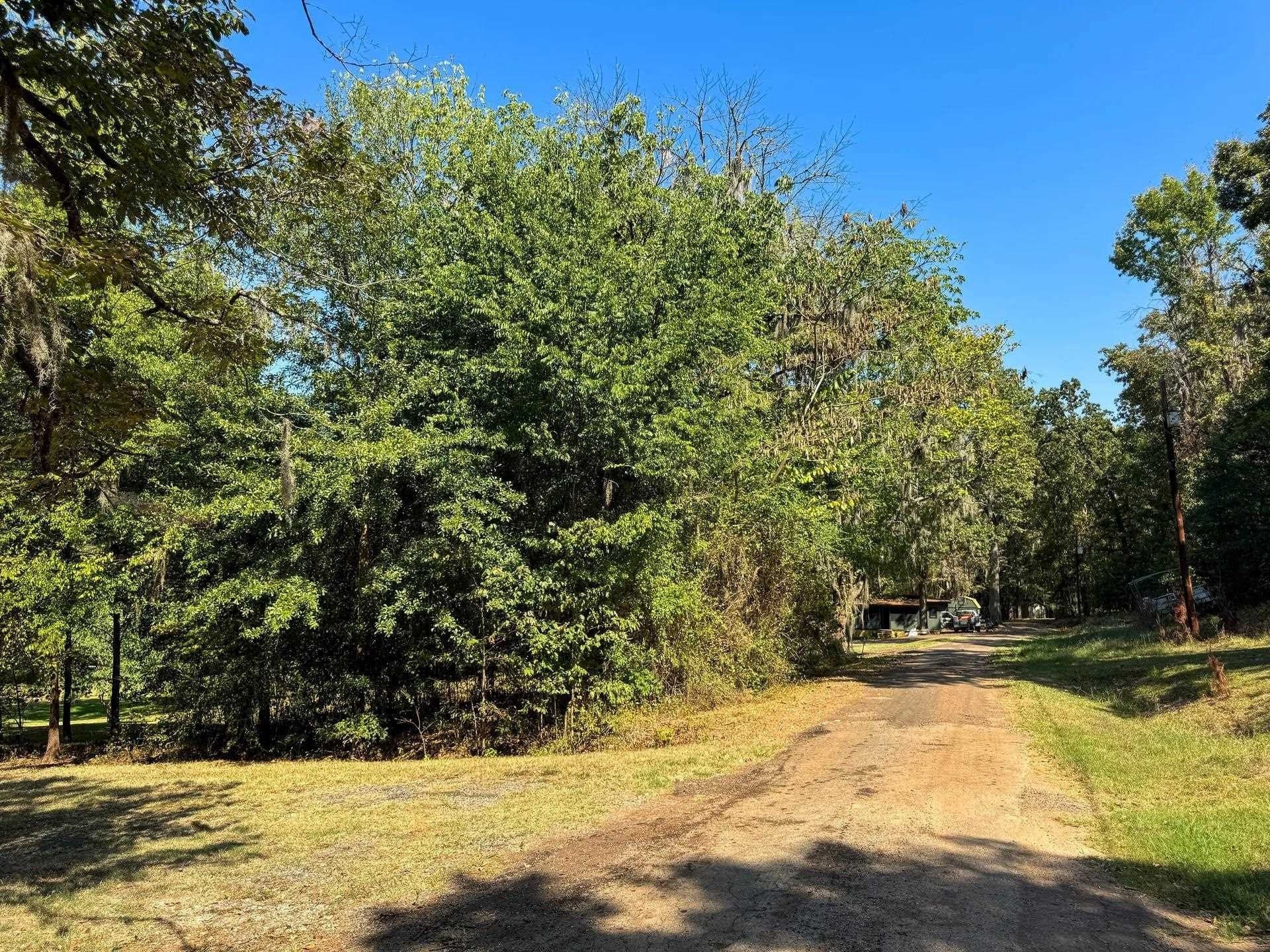 0.45 acres in Marion County - photo 15