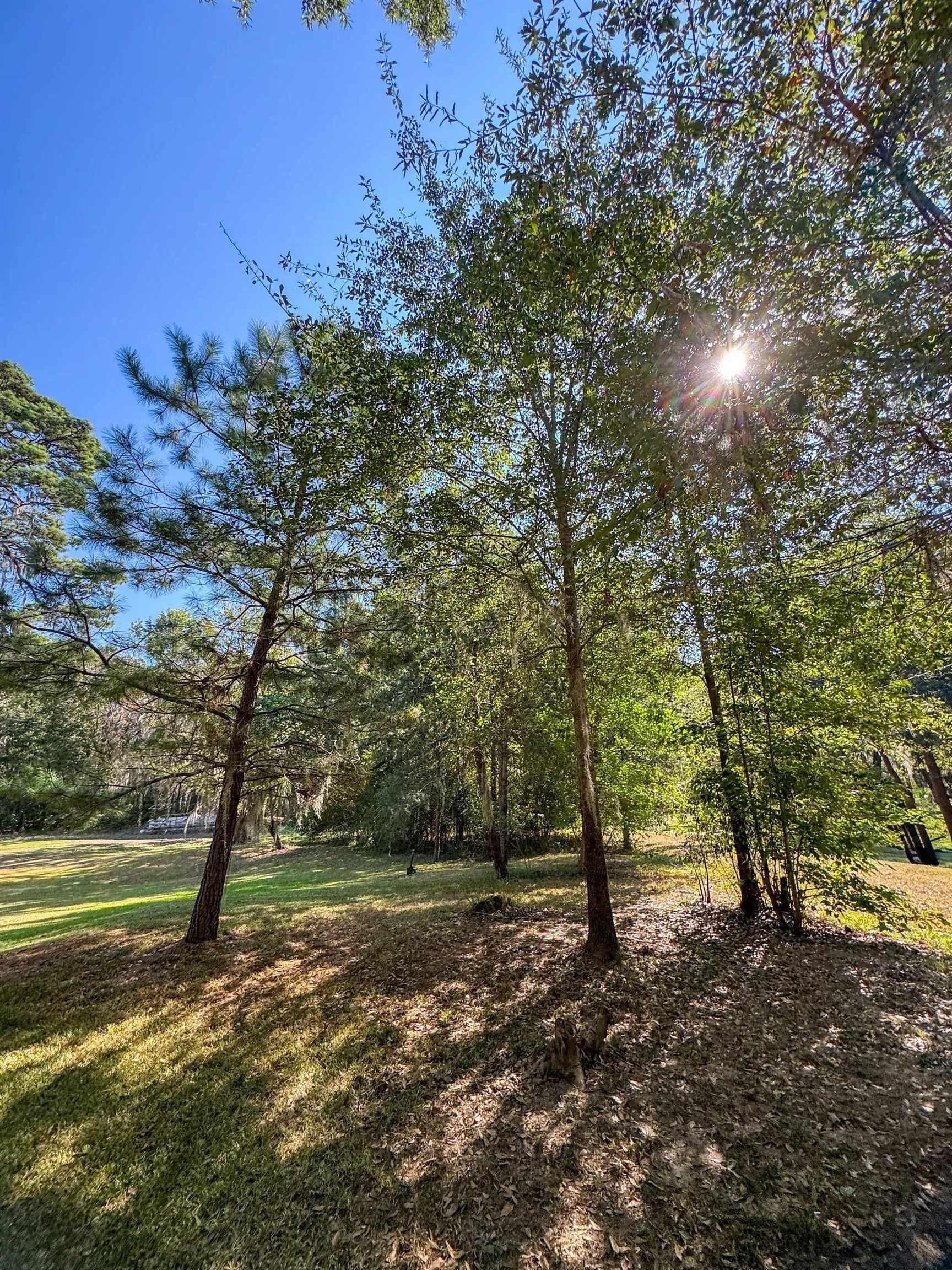 0.45 acres in Marion County - photo 14