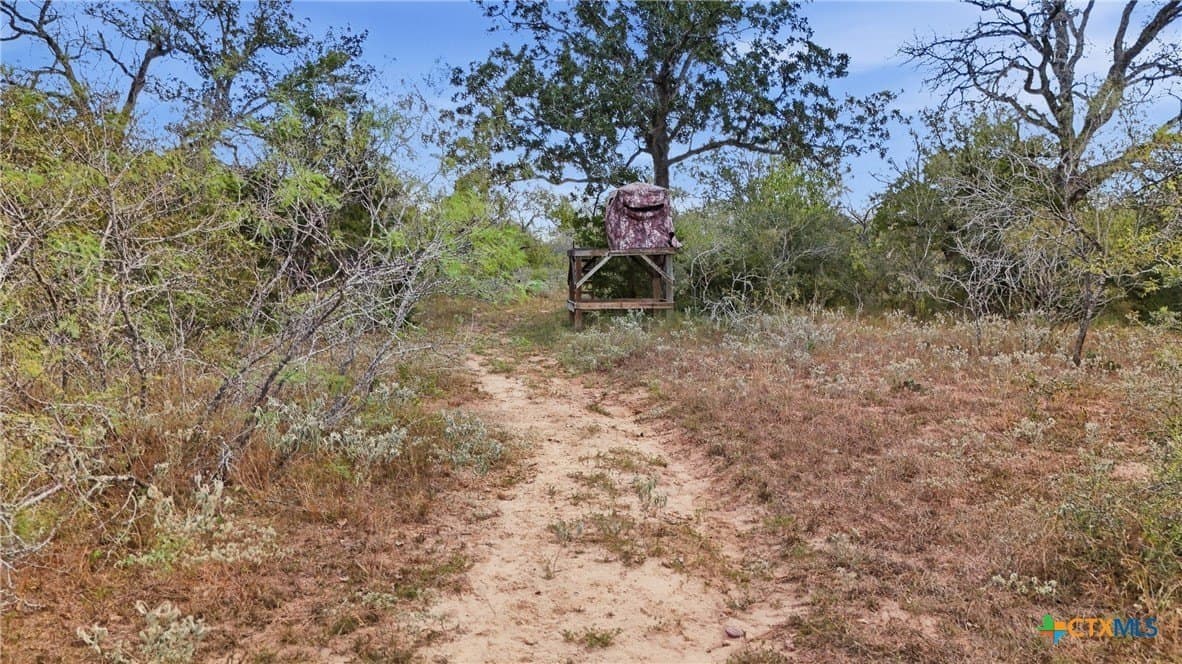 50 acres in Gonzales County - photo 15