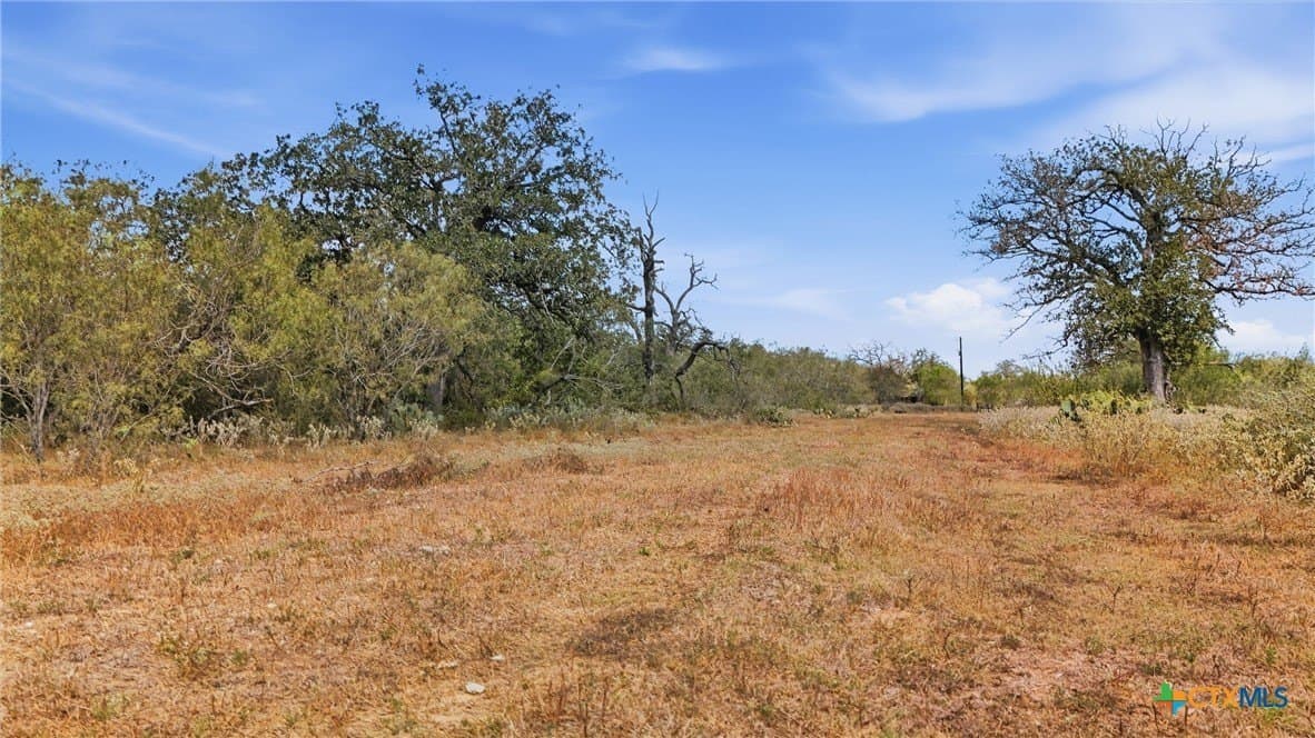 50 acres in Gonzales County - photo 22
