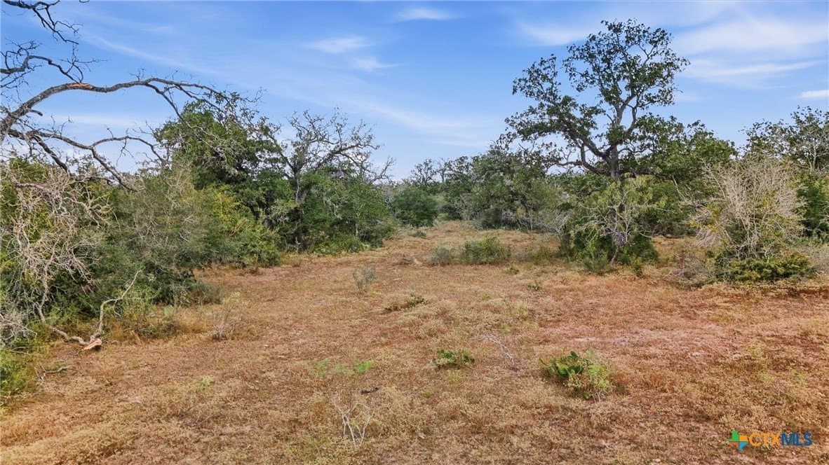 50 acres in Gonzales County - photo 17