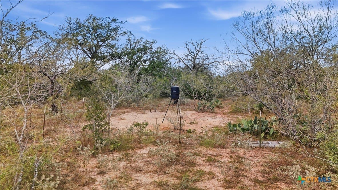 50 acres in Gonzales County - photo 14