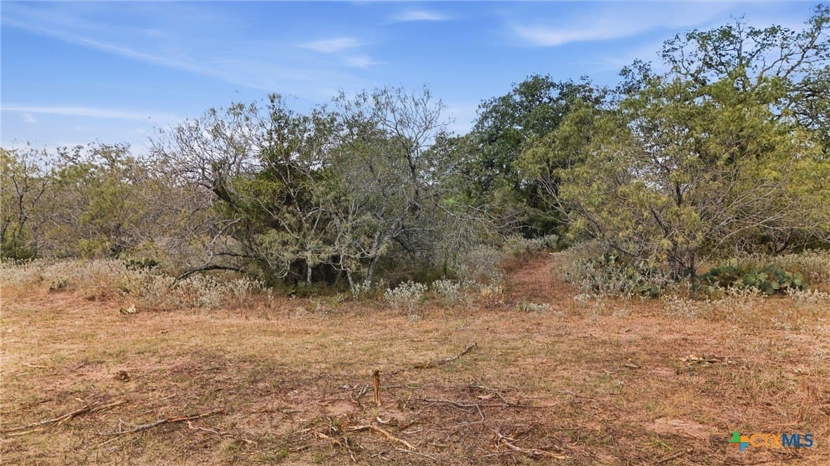 50 acres in Gonzales County - photo 18