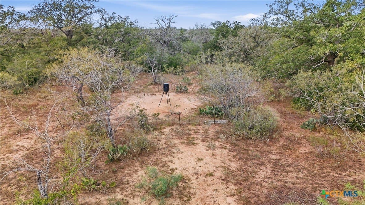 50 acres in Gonzales County - photo 13