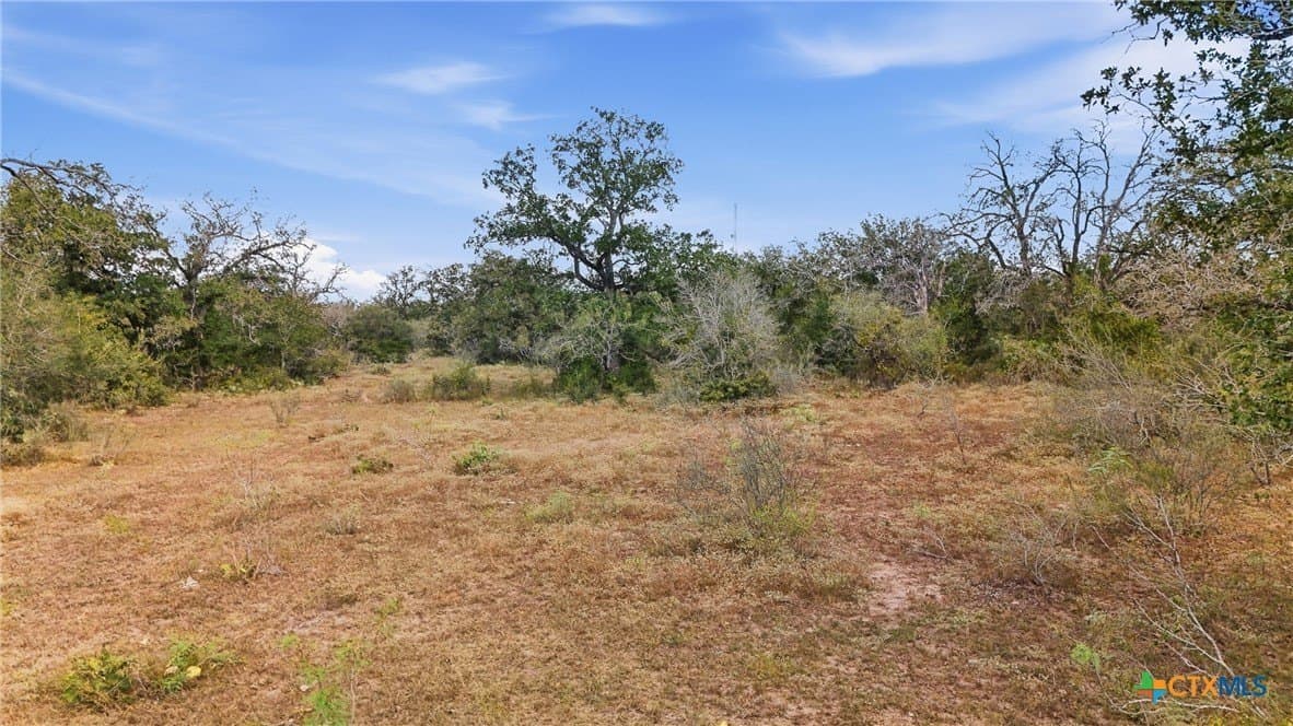 50 acres in Gonzales County - photo 21