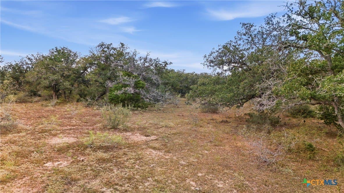 50 acres in Gonzales County - photo 16