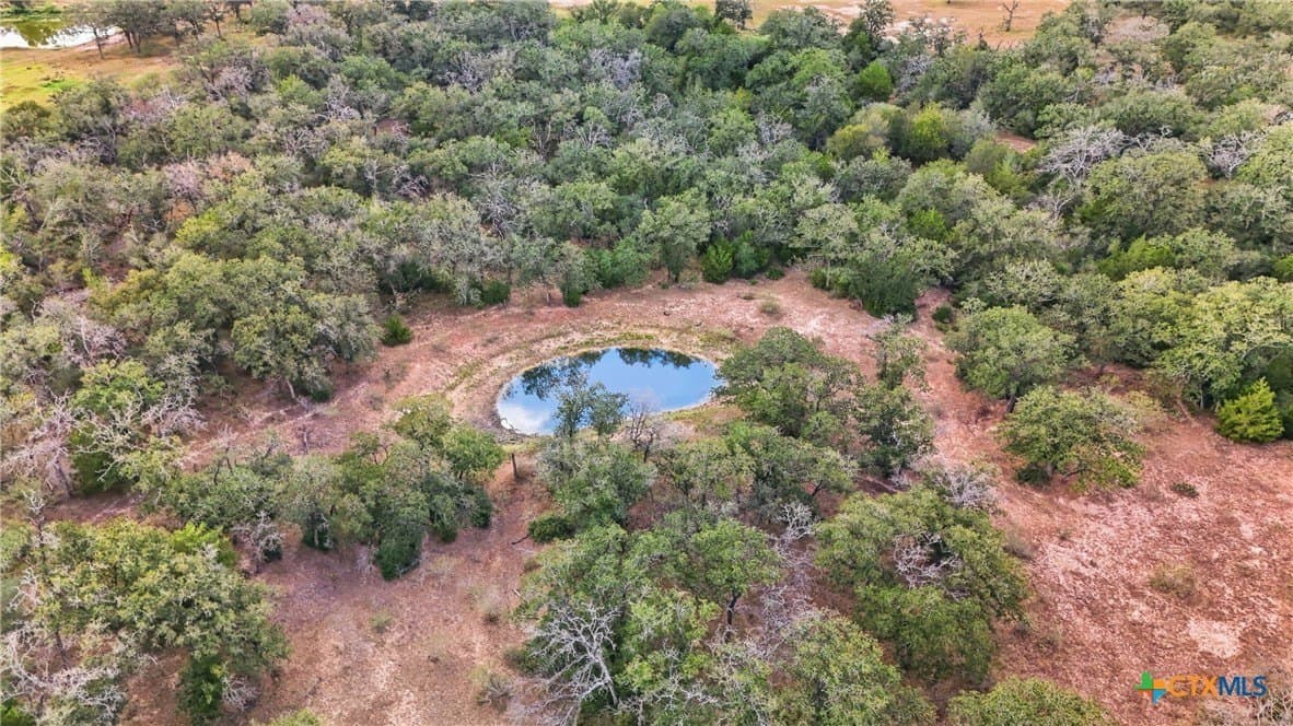 50 acres in Gonzales County - photo 8