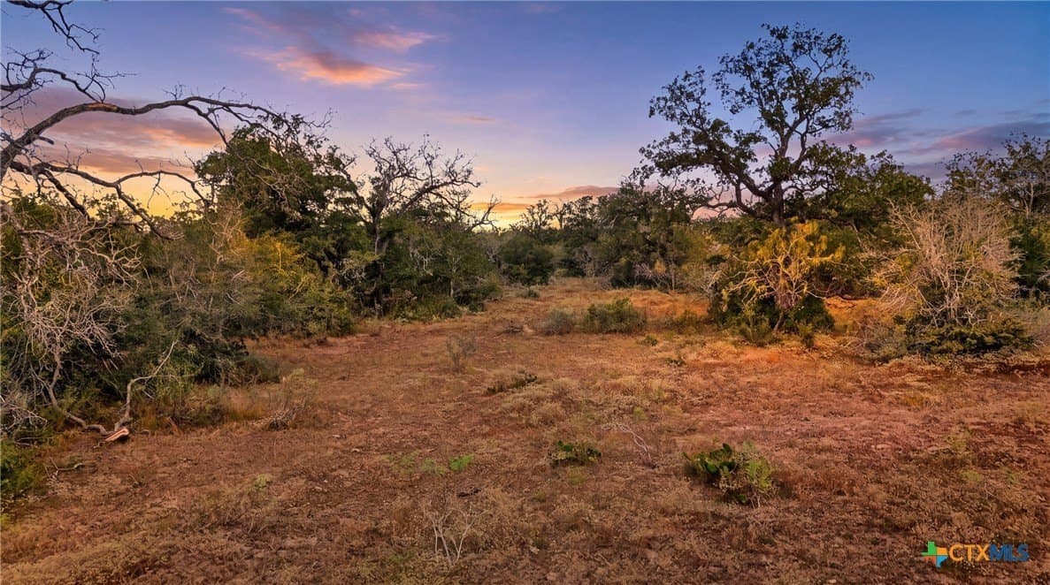 50 acres in Gonzales County - photo 3