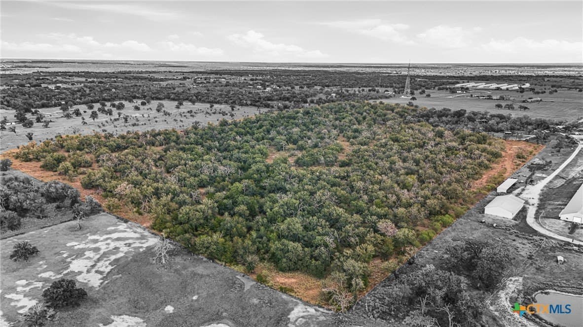 50 acres in Gonzales County - photo 9