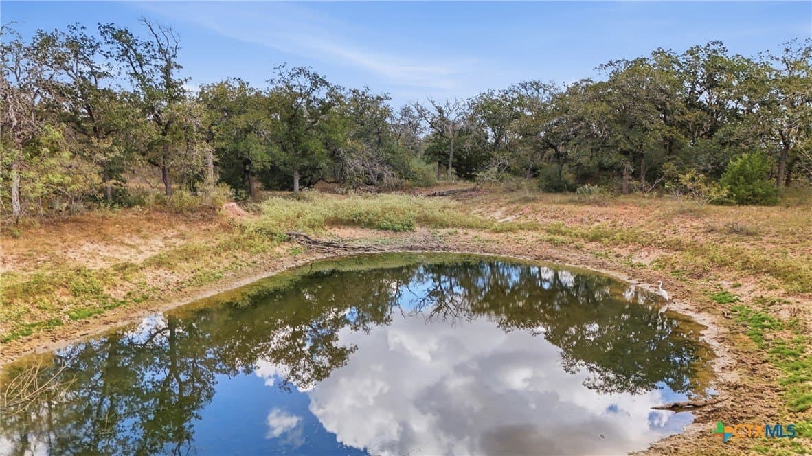 50 acres in Gonzales County - photo 20