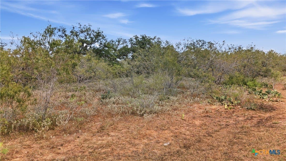 50 acres in Gonzales County - photo 19