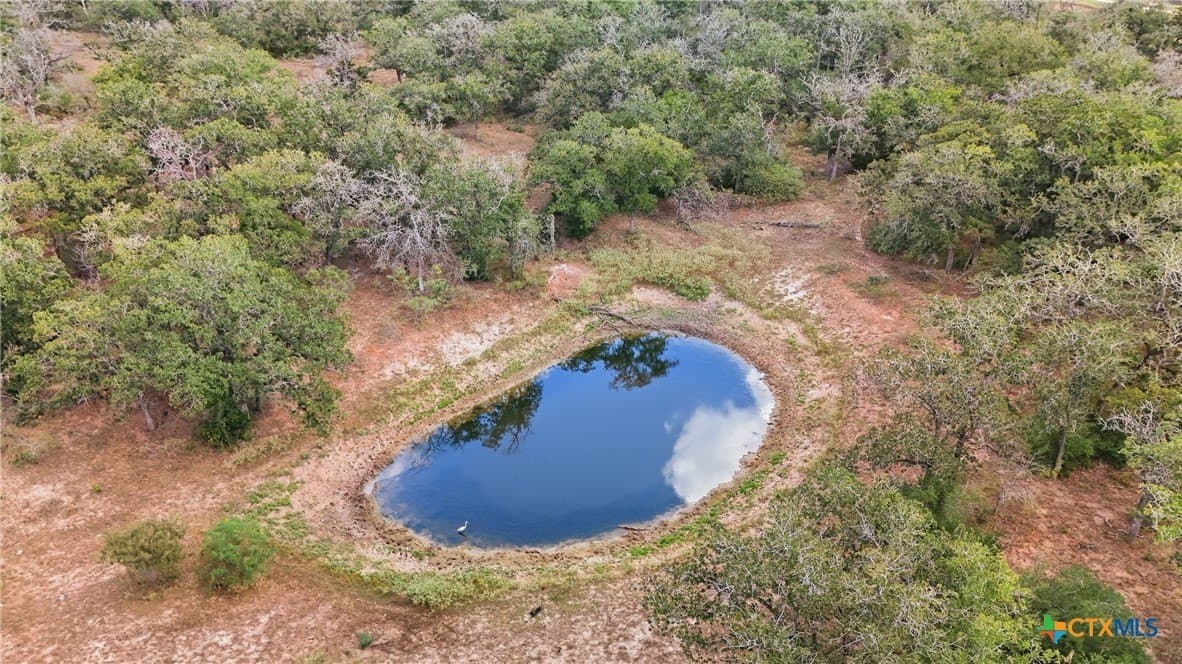 50 acres in Gonzales County - photo 7