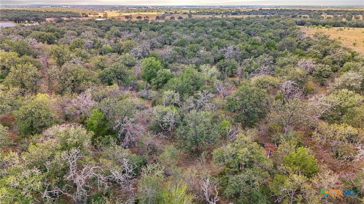 50 acres in Gonzales County - photo 12