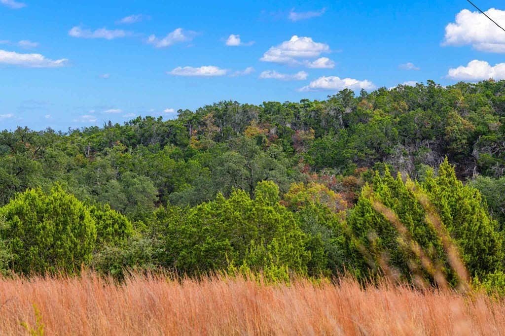 77.59 acres in Gillespie County featured view