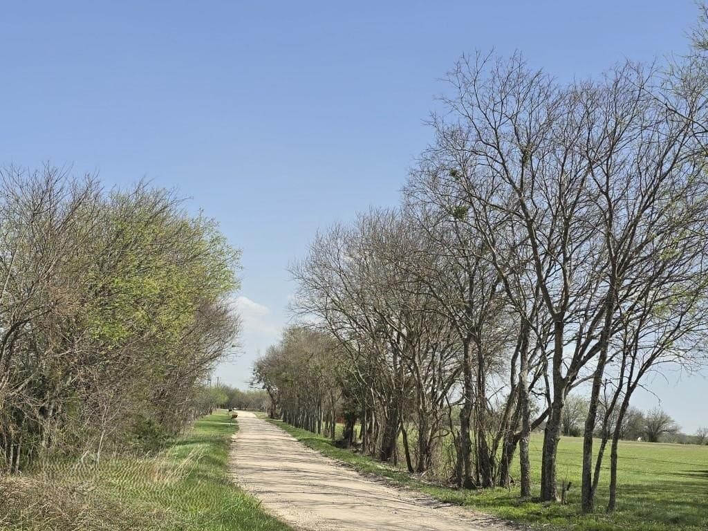 9.95 acres in Navarro County