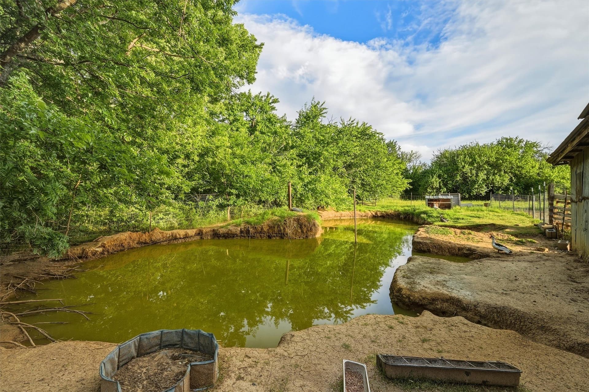 5 acres in Grayson County - photo 32