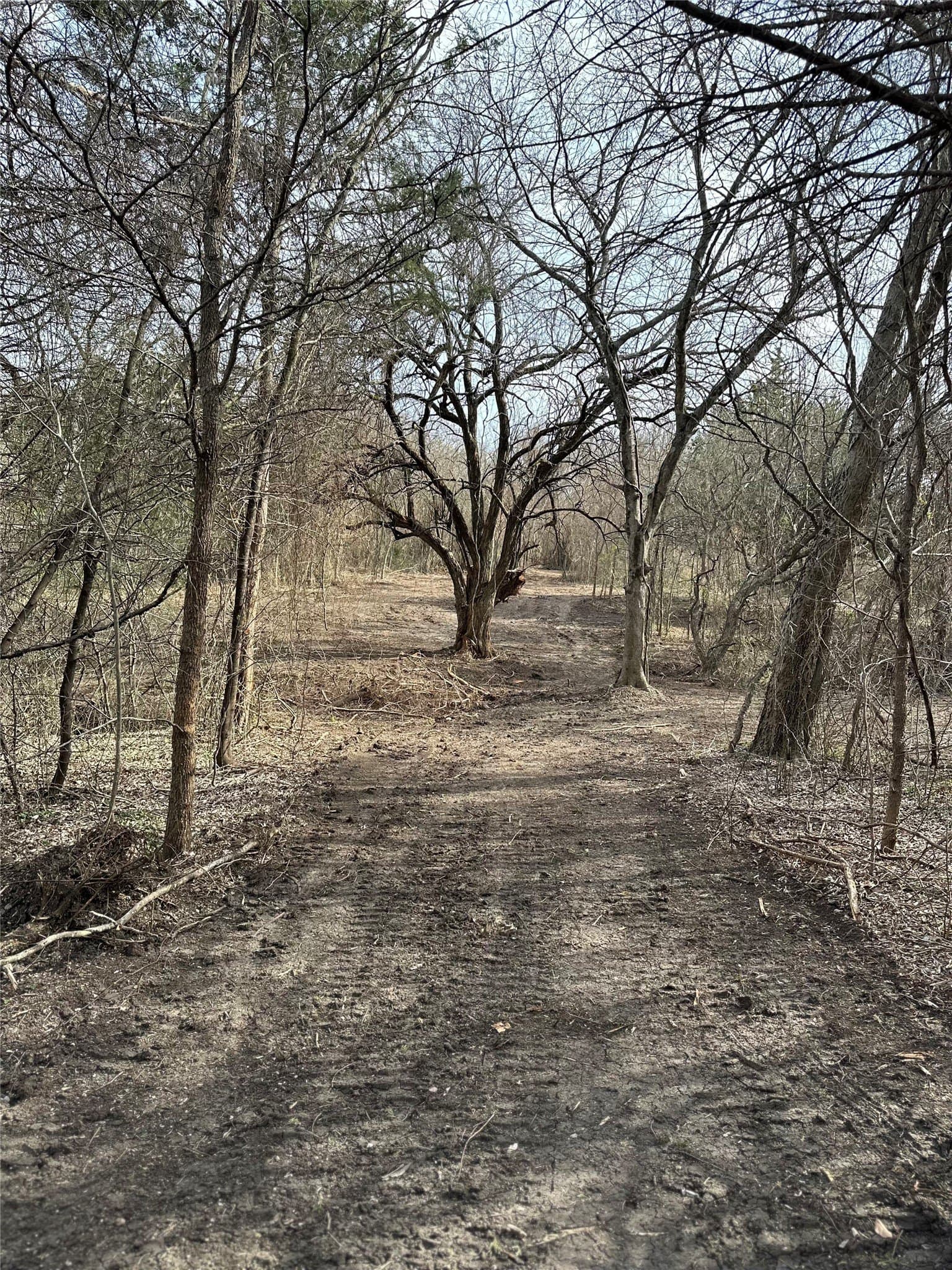 5.35 acres in Ellis County - photo 5