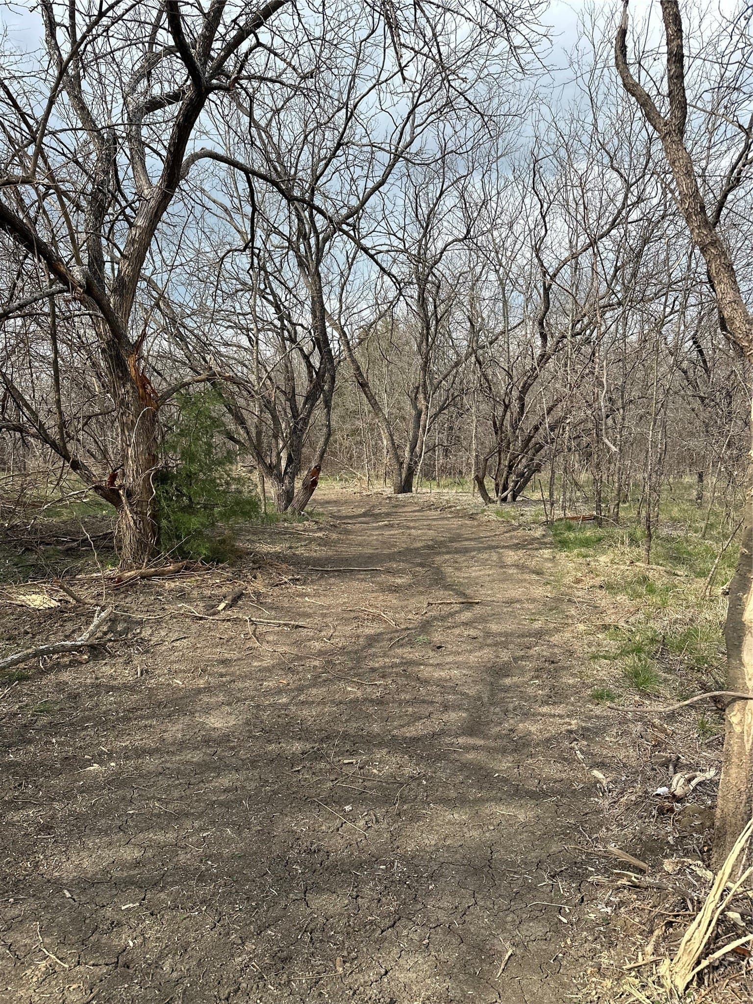 5.35 acres in Ellis County - photo 18