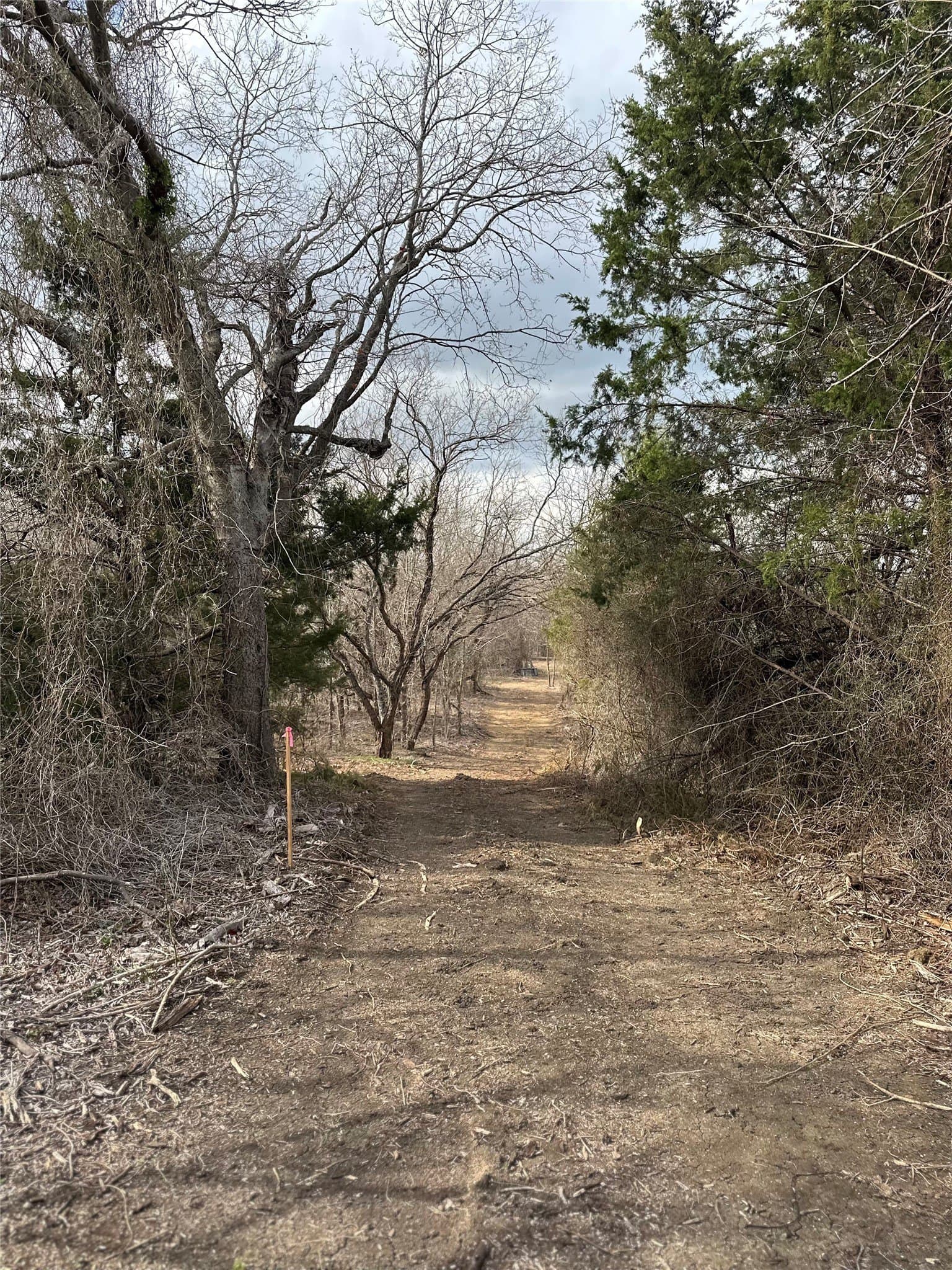 5.35 acres in Ellis County - photo 16
