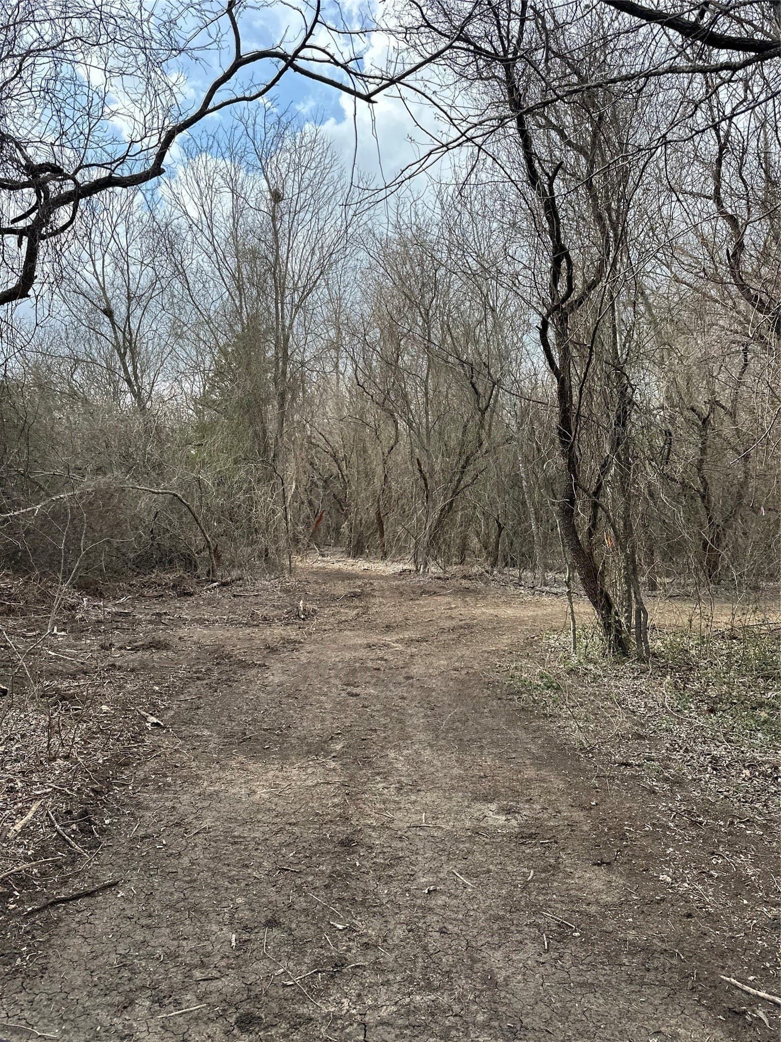 5.35 acres in Ellis County - photo 27