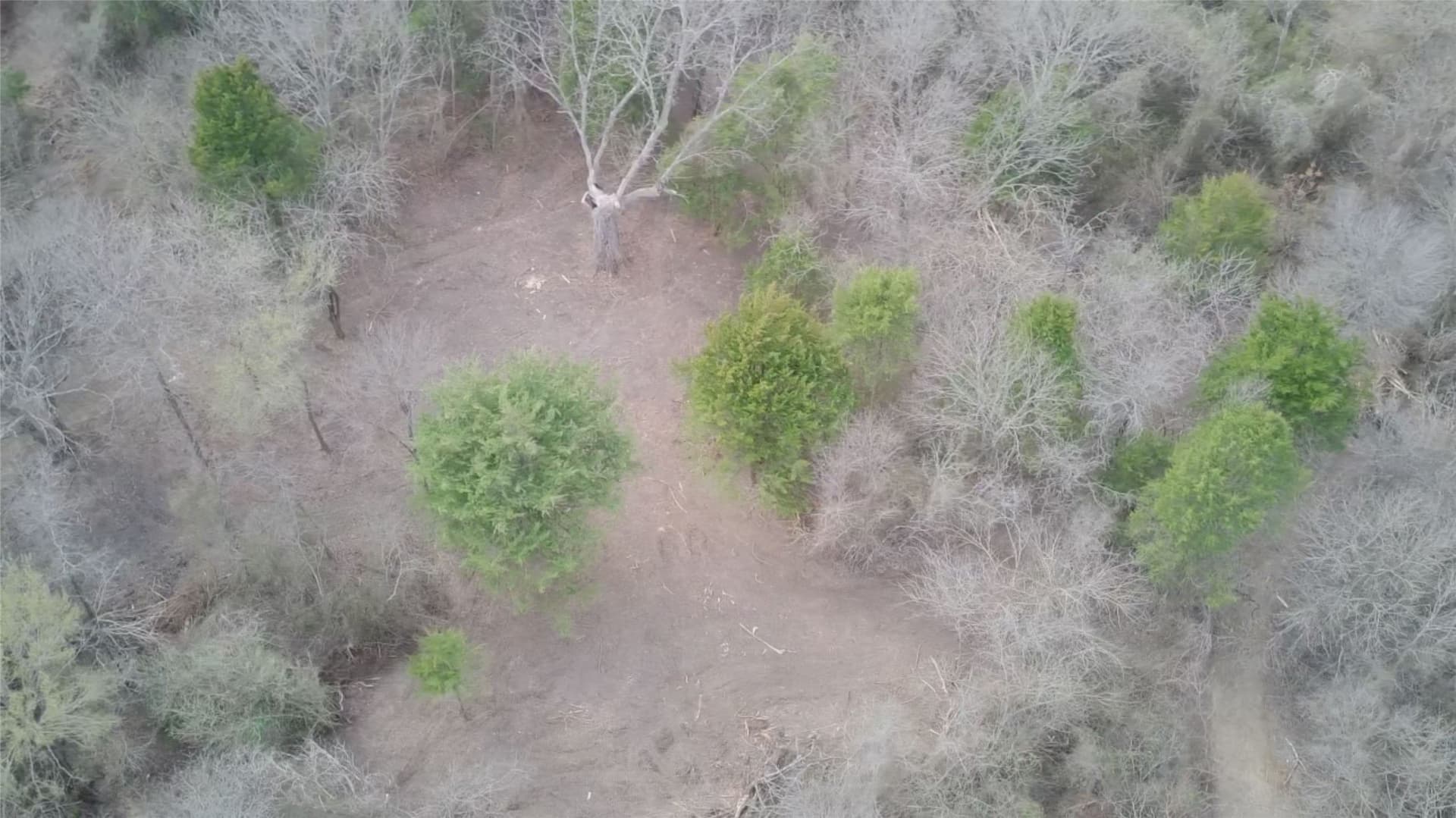 5.35 acres in Ellis County - photo 37