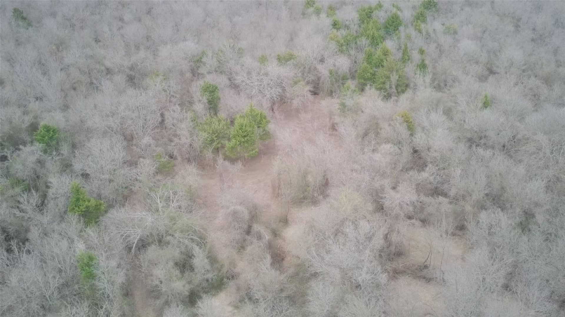 5.35 acres in Ellis County - photo 38