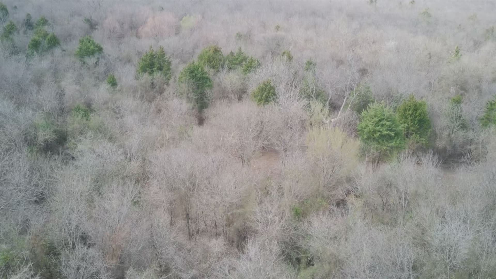 5.35 acres in Ellis County - photo 35