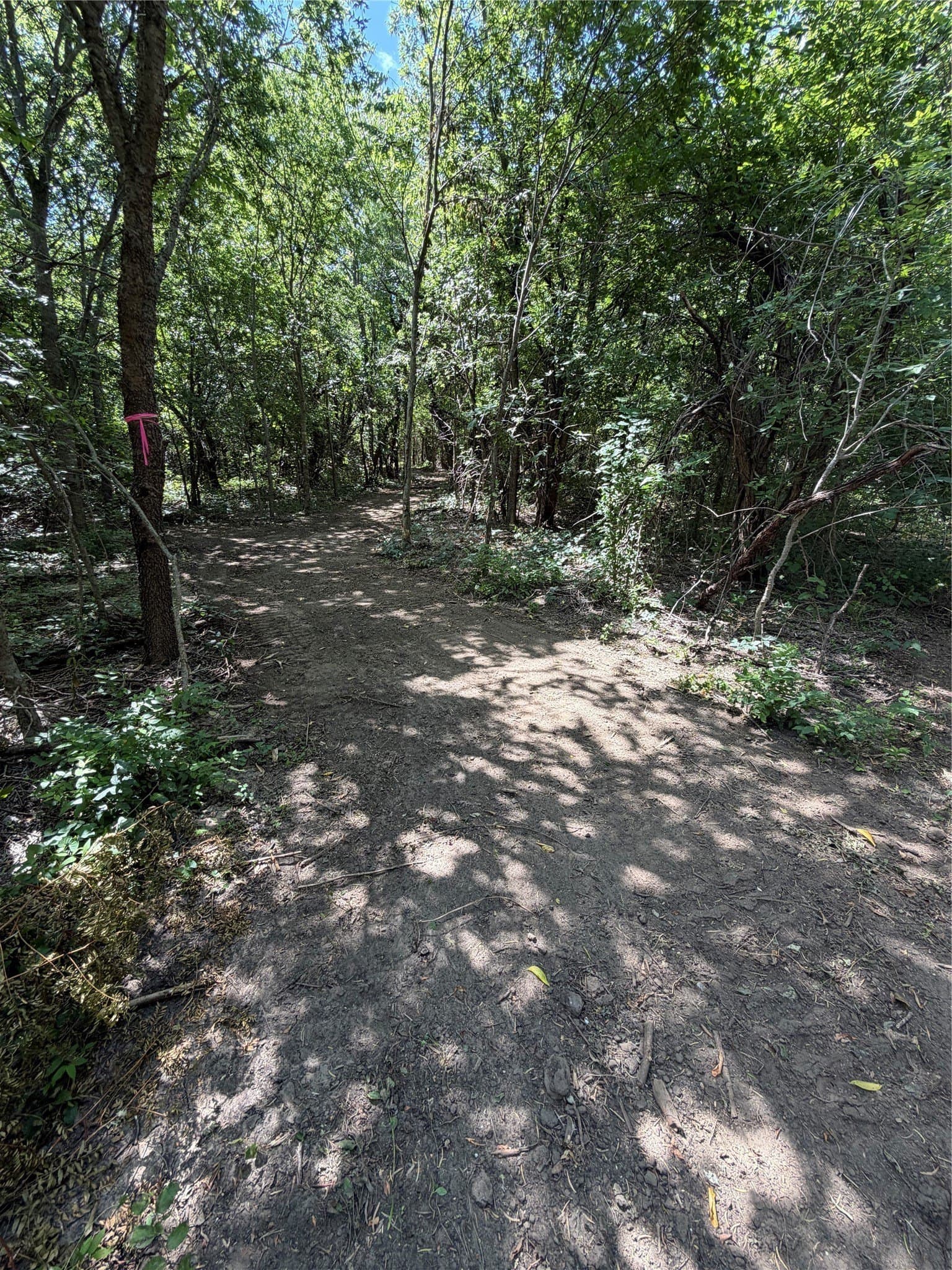 5.35 acres in Ellis County - photo 29