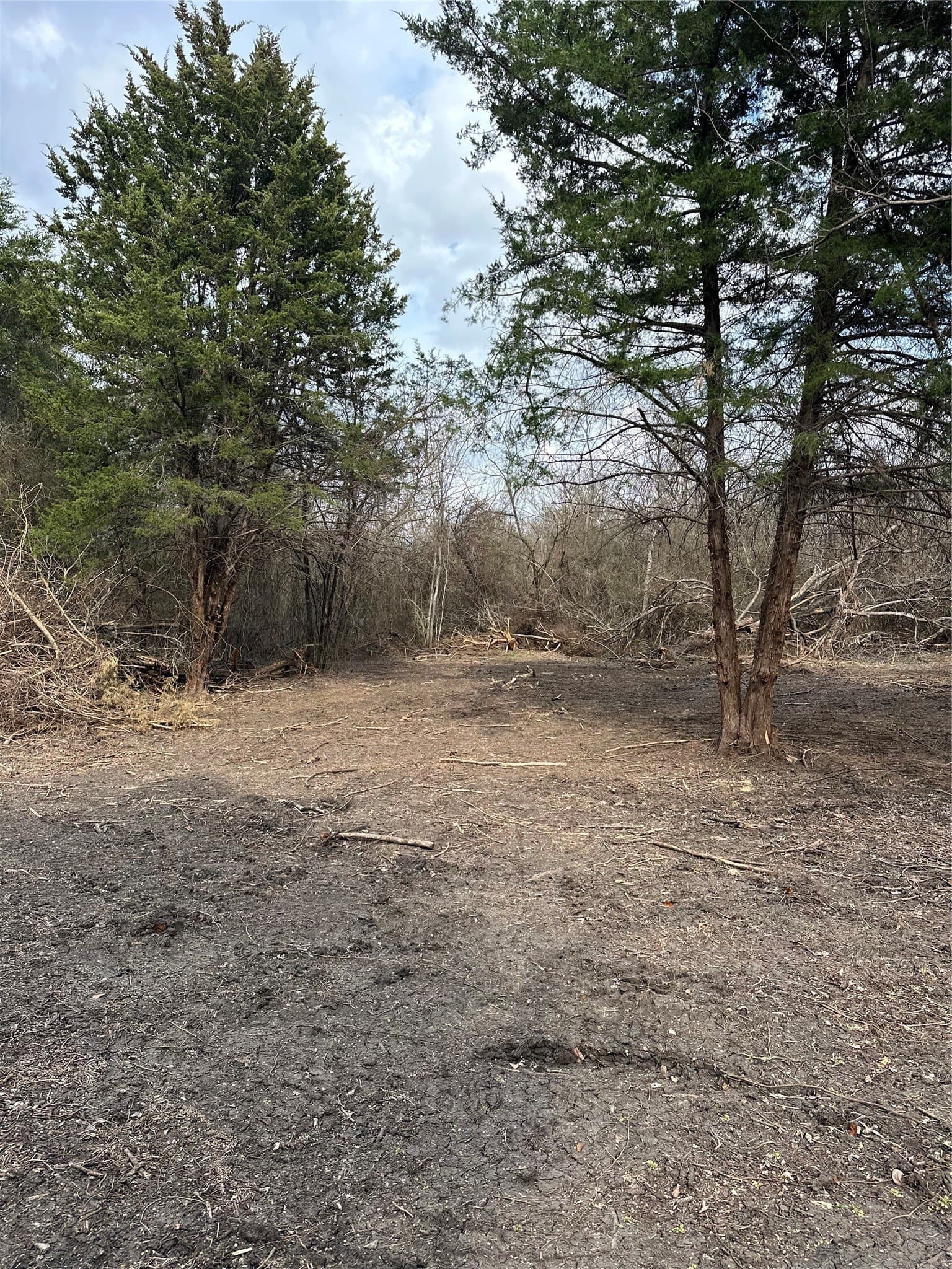 5.35 acres in Ellis County - photo 23