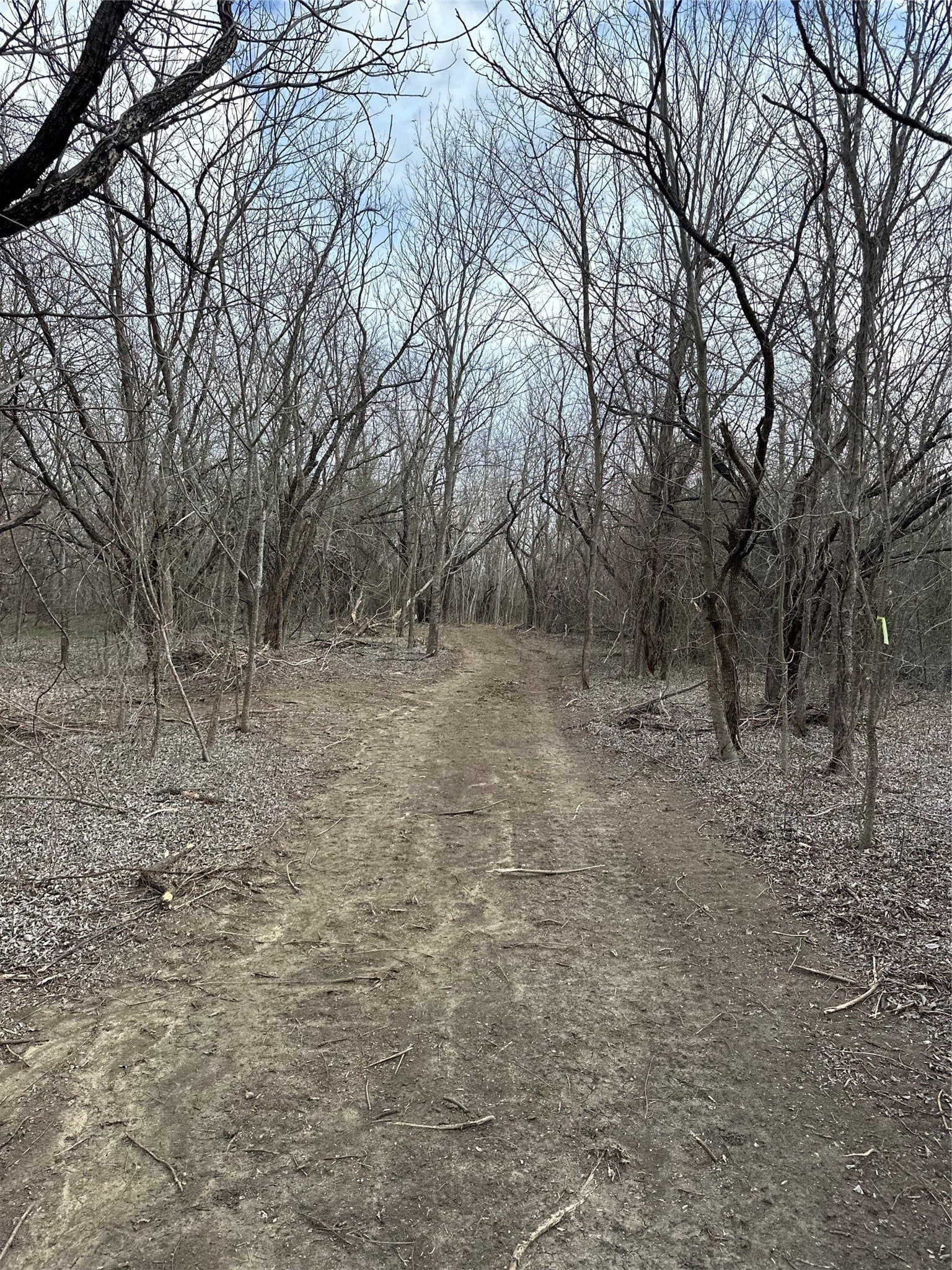 5.35 acres in Ellis County - photo 6