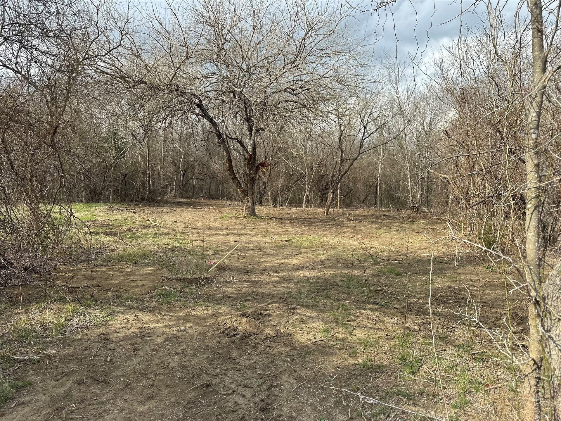 5.35 acres in Ellis County - photo 9