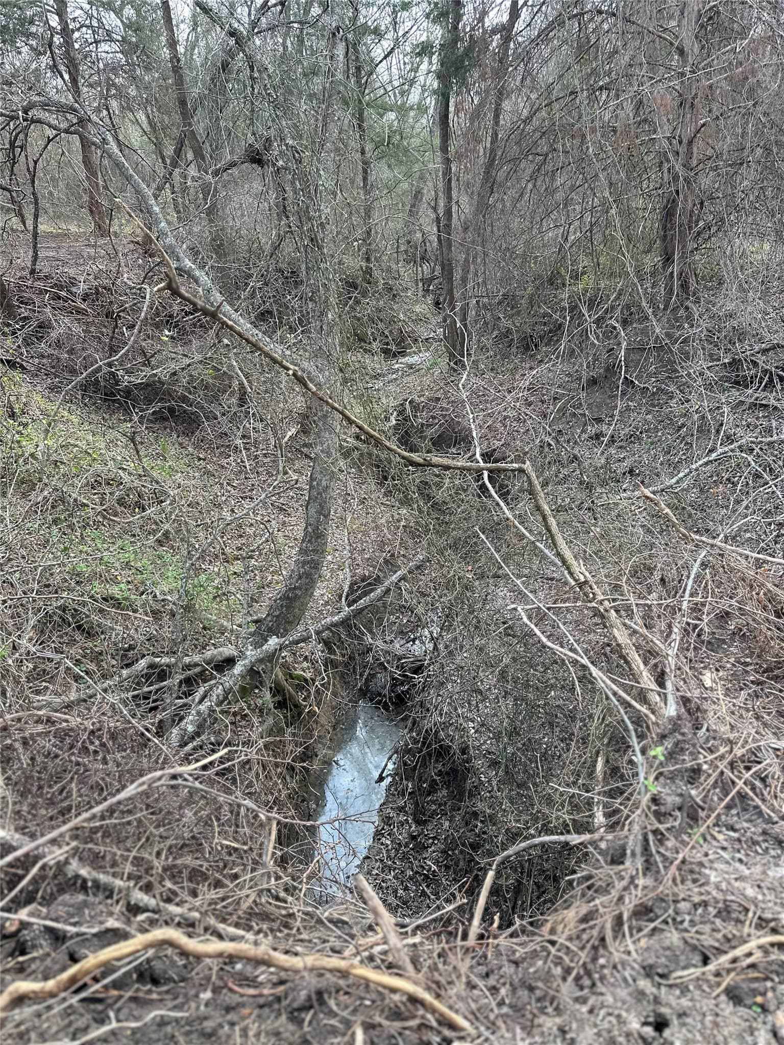 5.35 acres in Ellis County - photo 4
