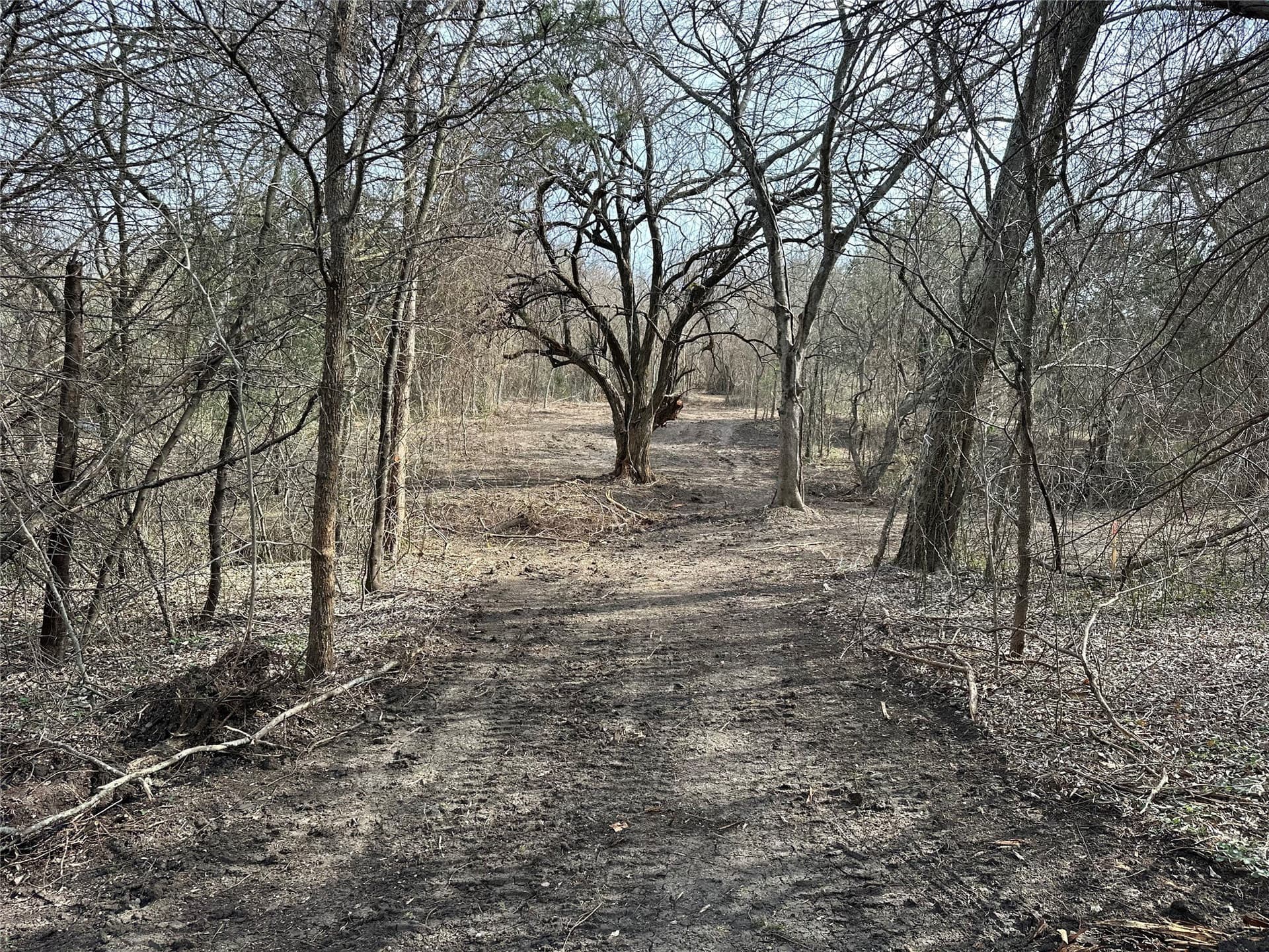 5.35 acres in Ellis County - photo 7