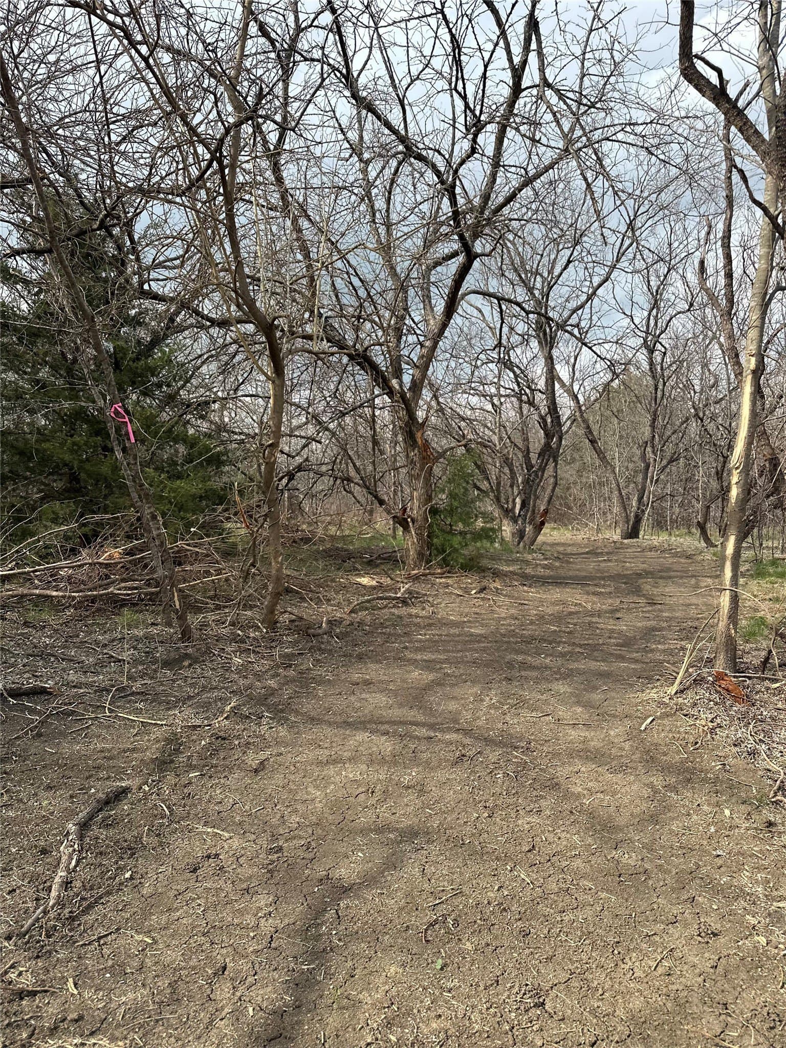 5.35 acres in Ellis County - photo 19