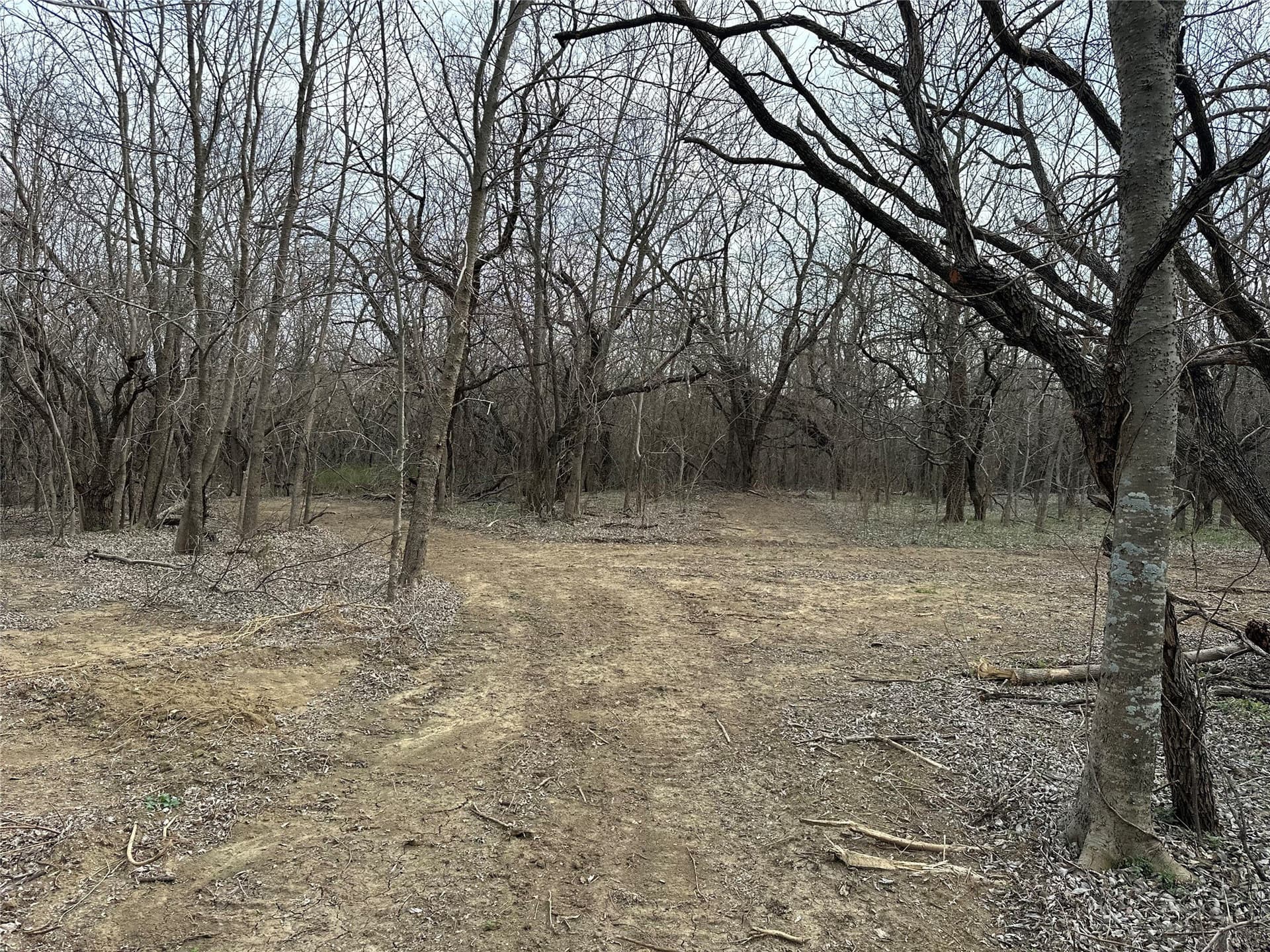 5.35 acres in Ellis County - photo 8