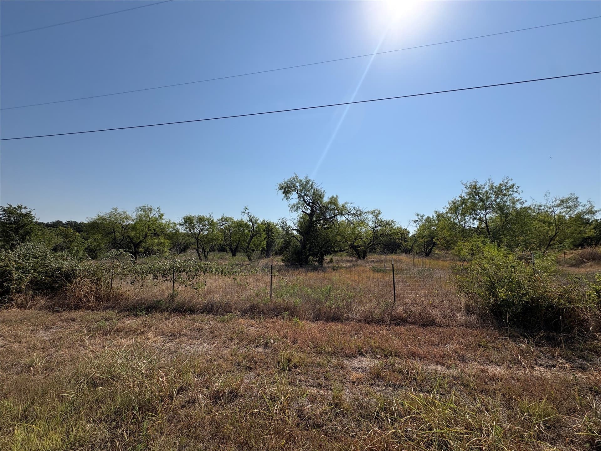 2 acres in Hamilton County - photo 3