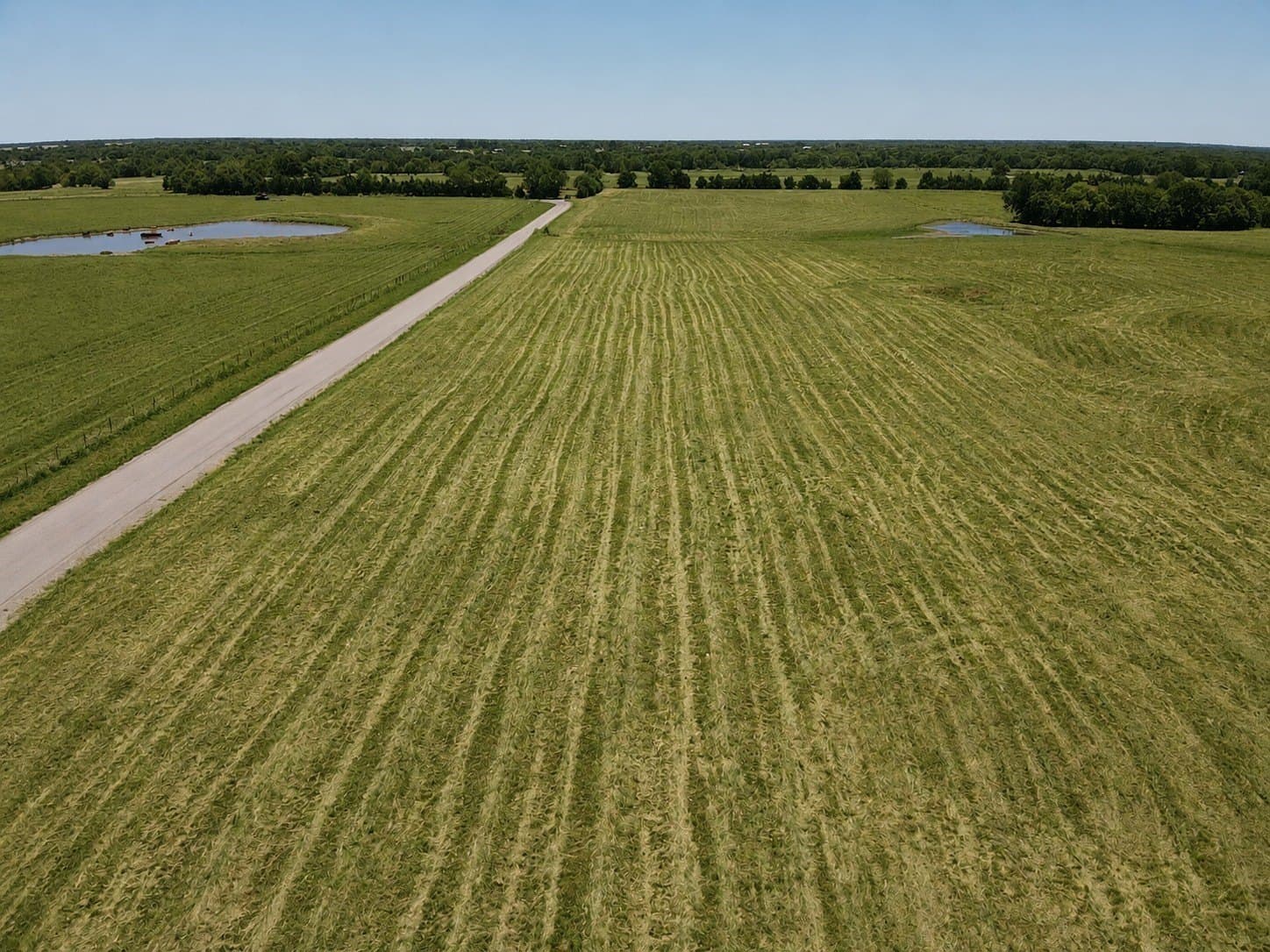 1 acres in Lamar County - photo 4
