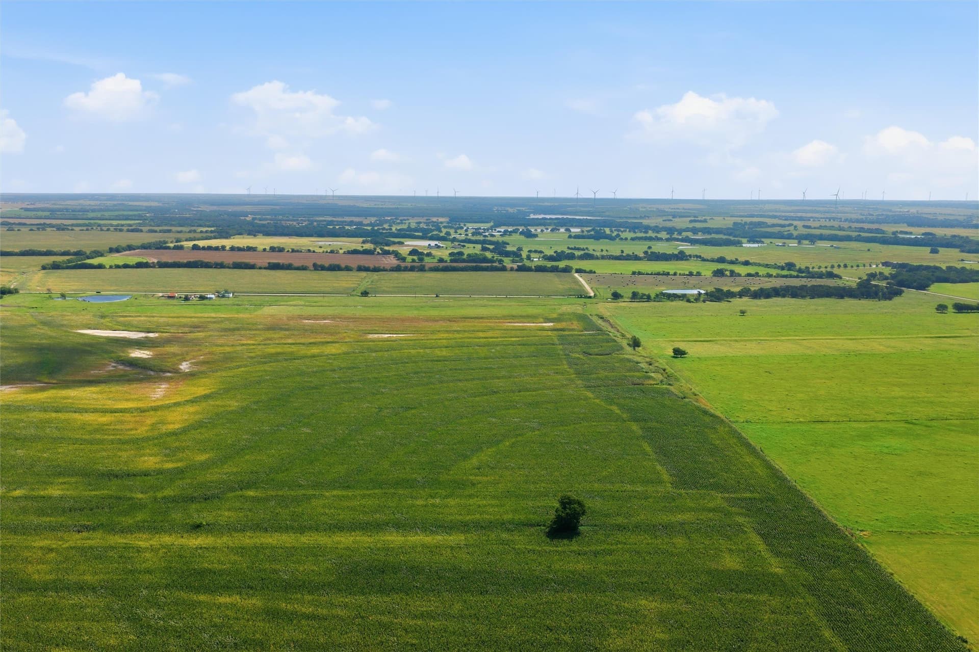 21 acres in McLennan County - photo 5
