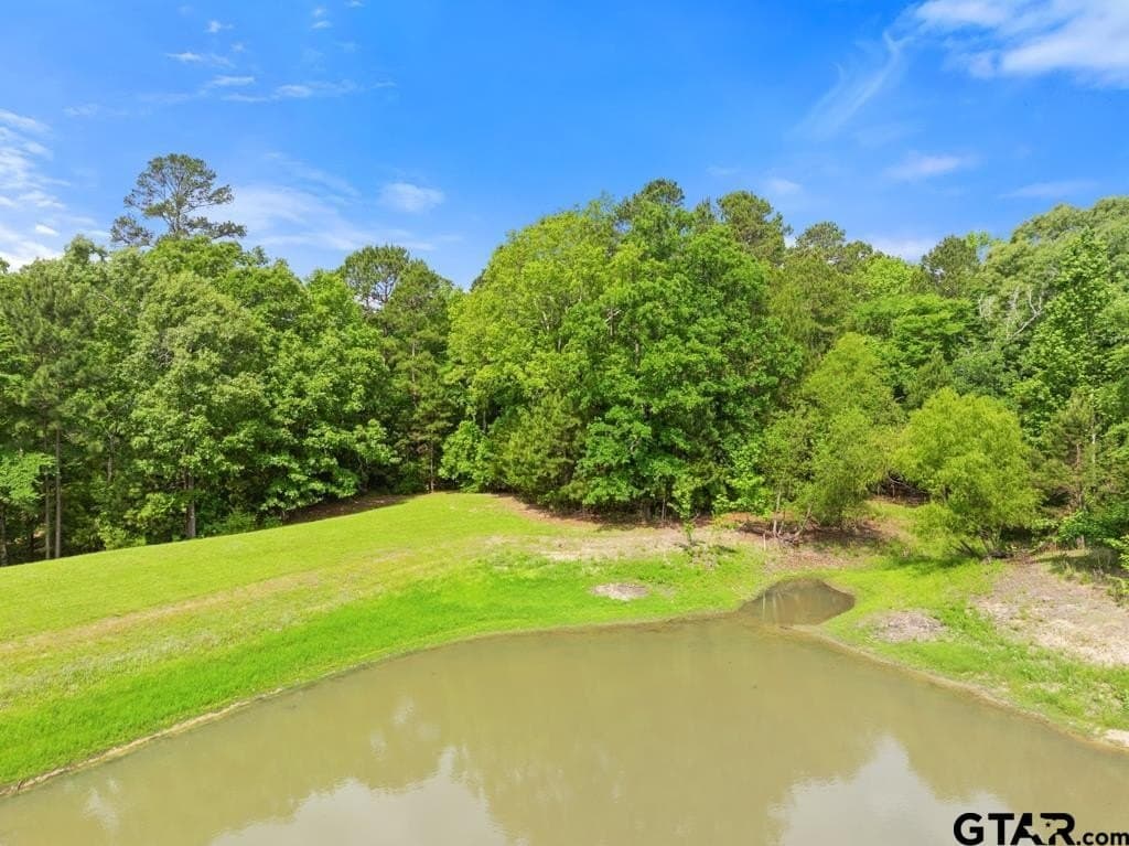 2.32 acres in Smith County gallery image 4
