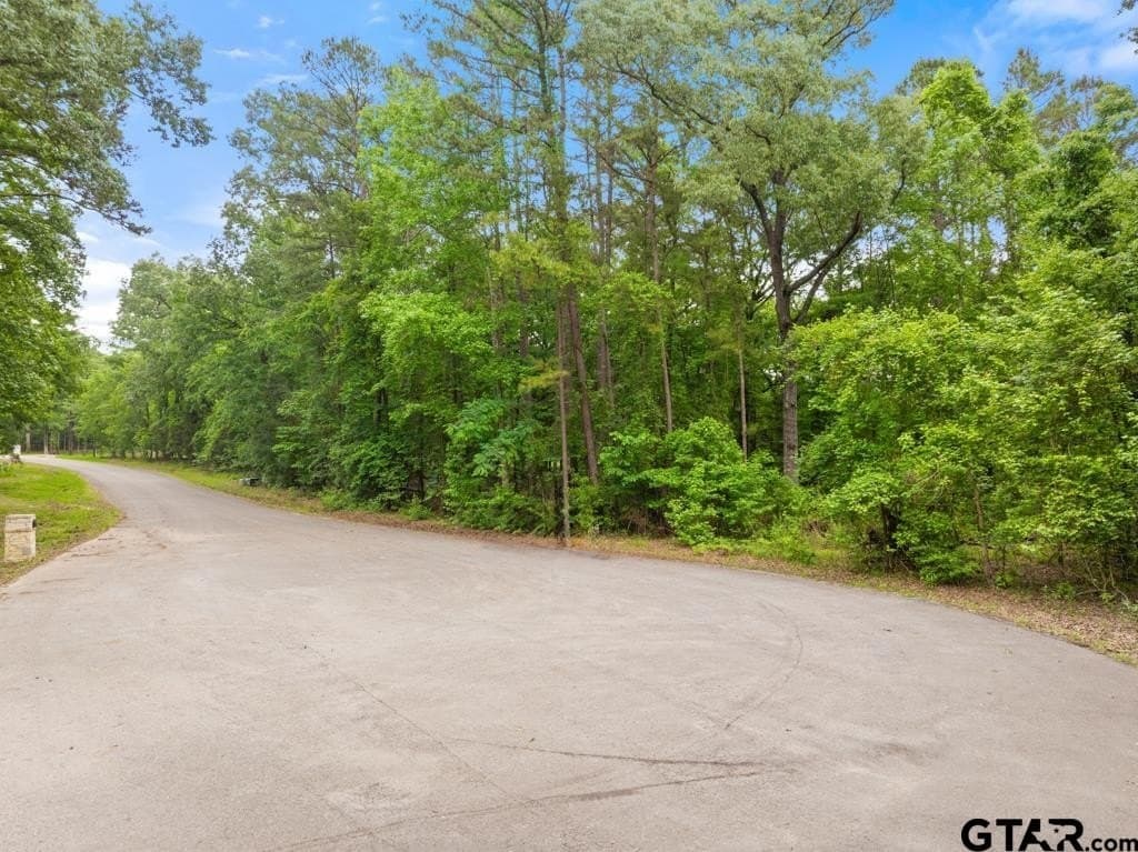 2.32 acres in Smith County gallery image 3