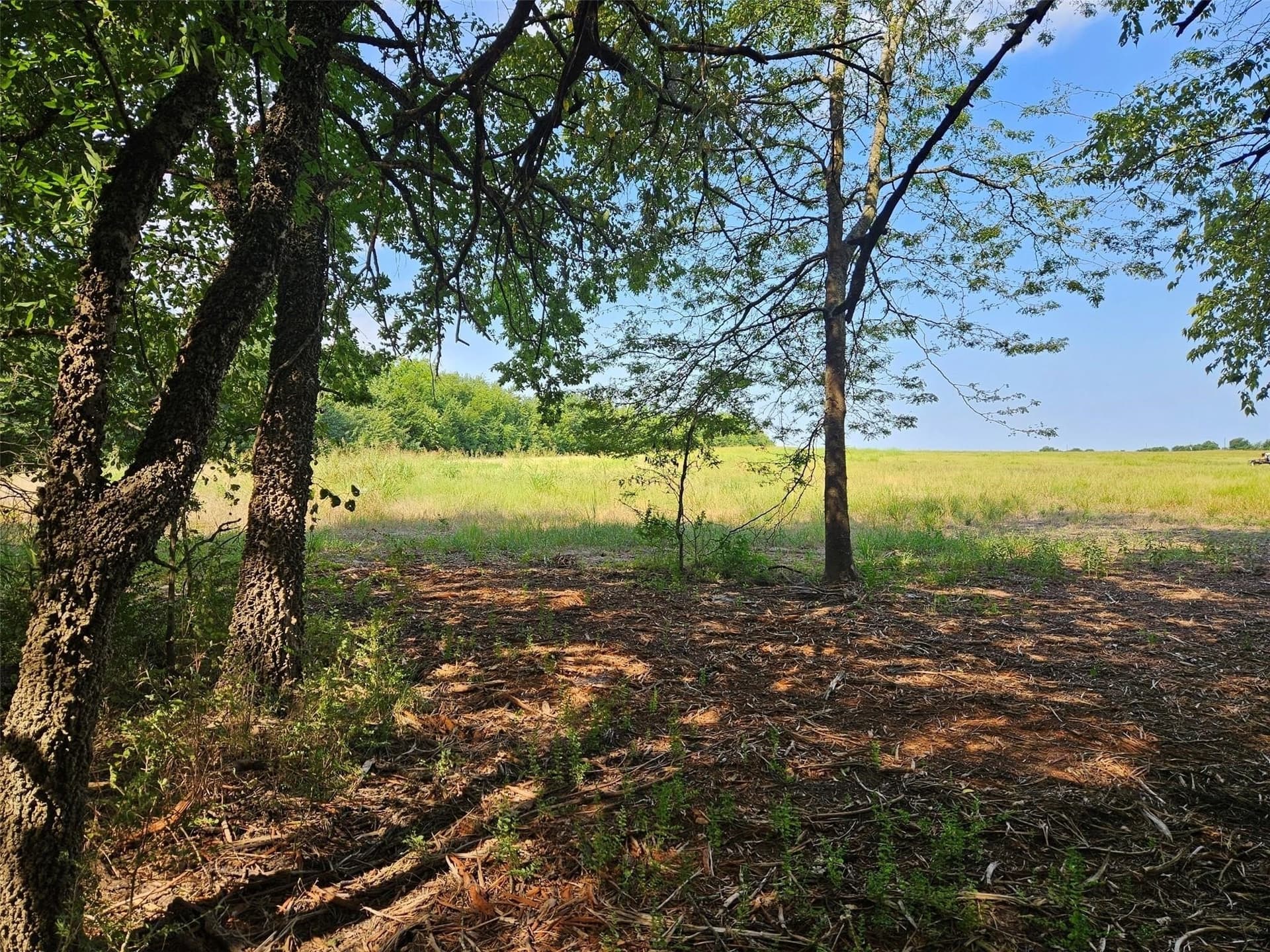 10.1 acres in Lamar County - photo 23