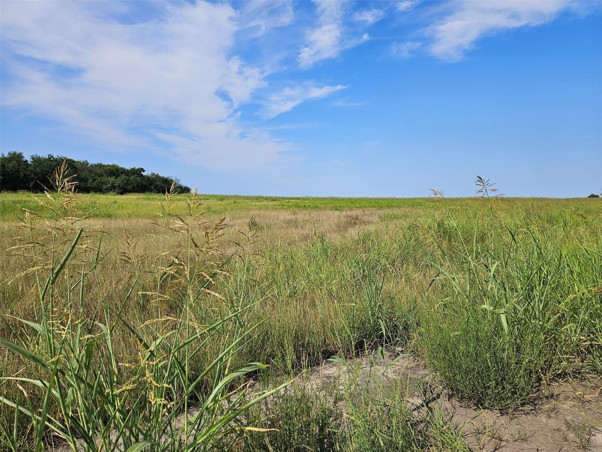10.1 acres in Lamar County - photo 10