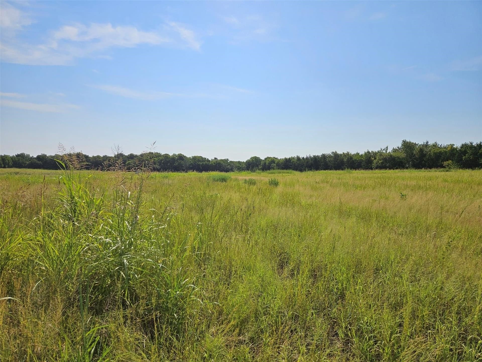 10.1 acres in Lamar County - photo 7
